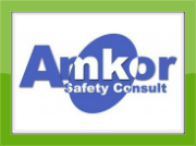 Amkor Safety Consult